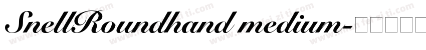 SnellRoundhand medium字体转换